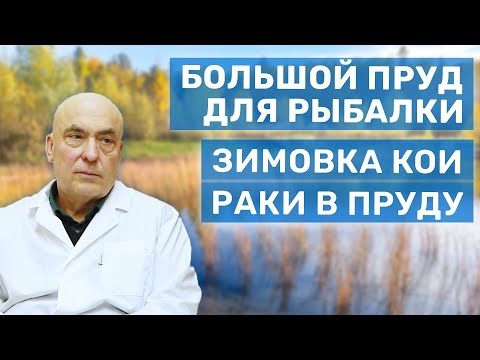 Видео: Ихтиопатолог про большой пруд для спортивной рыбалки, раки и кислород, болезни рыб