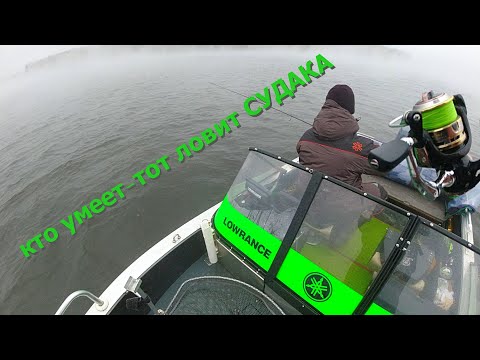 Видео: спиннинг на Десногорском водохранилище 17.11.2021 год!!! судак на джиг