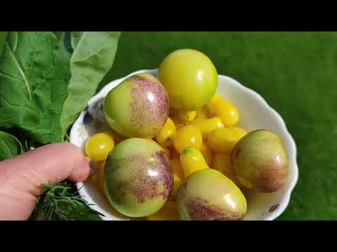Видео: 1.09.25. Как вы провели первый день осени?