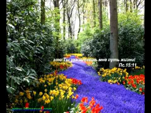 Видео: Павел Шавловский    Исповедь Святослава Радчука