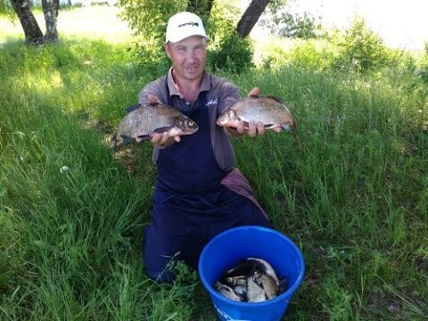 Видео: Мастер-класс по фидерной ловле на канале имени Москвы от Дмитрия Зимарева. Ловля леща.