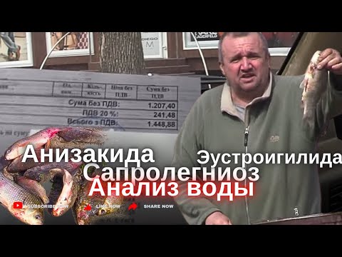 Видео: Запорожье Обнаружены очаги заражения рыбы. Вода взята на анализ 29 Марта. Затока «ТРУБА»