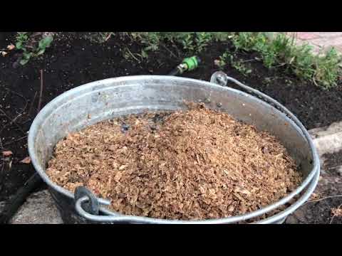 Видео: Прополис очищаем от воска и стружки.