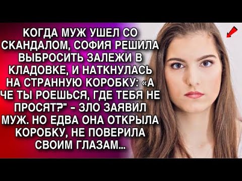 Видео: КОГДА МУЖ УШЕЛ СО СКАНДАЛОМ, СОФИЯ РЕШИЛА ВЫБРОСИТЬ ЗАЛЕЖИ В КЛАДОВКЕ, И НАТКНУЛАСЬ  НА КОРОБКУ