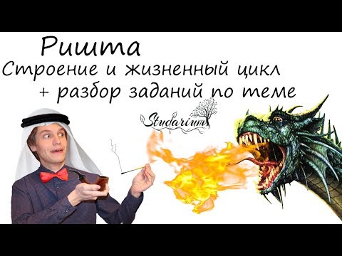 Видео: Ришта. Строение и жизненный цикл ришты. Примеры решения заданий
