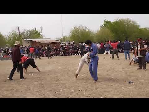 Видео: гуштинги киров3. 28,03,2022