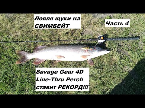 Видео: Ловля щуки на свимбейт.Часть 4.Savage Gear 4D Line-Thru Perch ставит РЕКОРД!!!