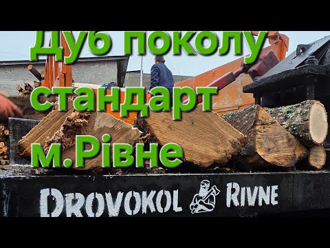 Видео: Дуб поколу стандарт клієнтам м.Рівне