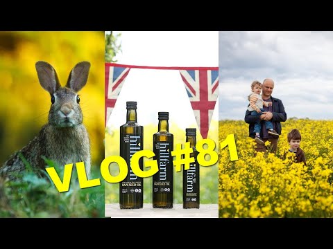 Видео: Английские рапсовые поля, мелкие зайцы и рапсовое масло