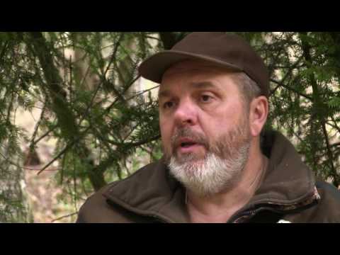 Видео: Охотничий Мастер-класс от А до Я. Подготовка охотничьего лагеря