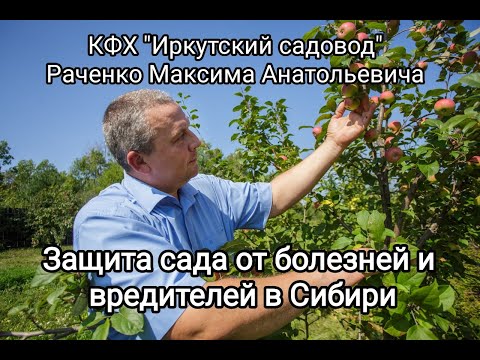Видео: Защита сада от болезней, вредителей. Подкормки