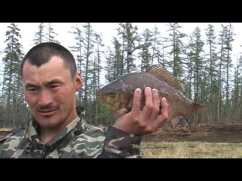 Видео: ЯКУТИЯ, АБЫЙСКИЙ Р-Н - ОХОТА НА УТКУ 2006 ГОДА АРХИВ