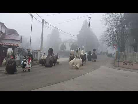 Видео: Сурва Струмско 01.01.2025 (1)