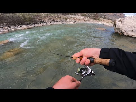 Видео: Ловля форели на Кавказе 🎣с новым спиннингом smith Saluco 53 💣и с одним воблером 👍#troutfishing