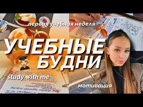 Видео: УЧЕБНЫЕ БУДНИ/study with me/первая учебная неделя