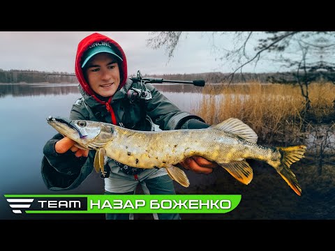 Видео: Тест Нового Спінінга Favorite Totem. Ловля щуки та окуня на озері