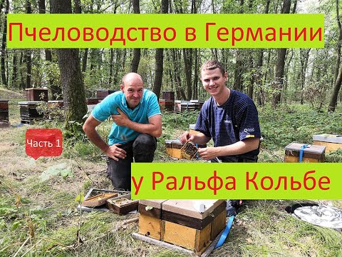 Видео: Германия 2019  У Ральф Кольбе часть 1