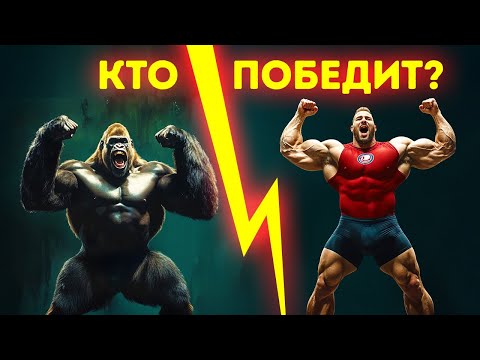Видео: Человек против гориллы: кто выиграет и почему?