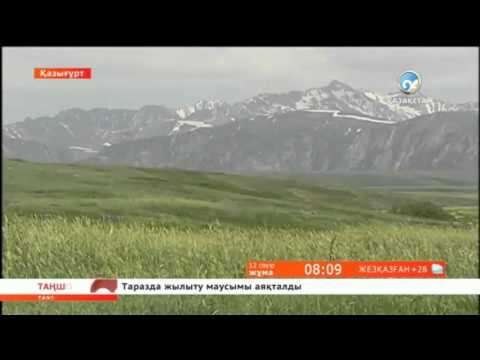 Видео: Қазығұрт - киелі мекен