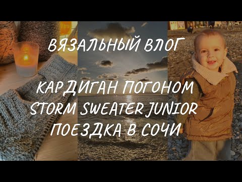 Видео: Влог 9/24: разочарование в BC Garn, кардиган реглан-погоном, Storm Sweater Junior от Petite Knit