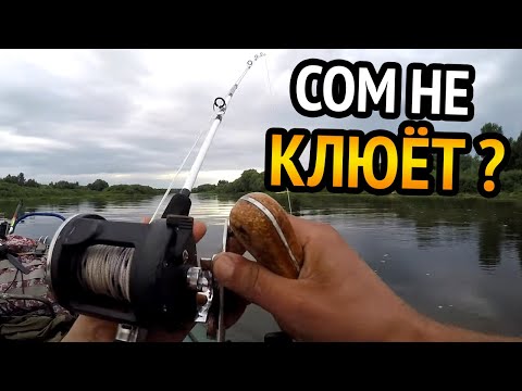 Видео: Рыбалка на СОМА С КВОКОМ и НОЧНАЯ РЫБАЛКА на ЖИВЦА. Итог может быть и такой.