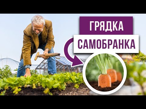 Видео: Как получить больше урожая? Метод грядки-самобранки