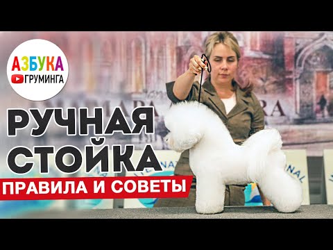 Видео: Ручная стойка для собак. Особенности, советы грумерам