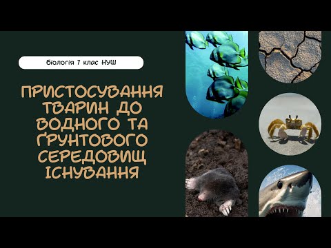 Видео: Біологія 7 клас НУШ Пристосування тварин до водного та ґрунтового середовищ існування