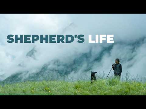 Видео: Жизнь в швейцарских Альпах | Единение с природой