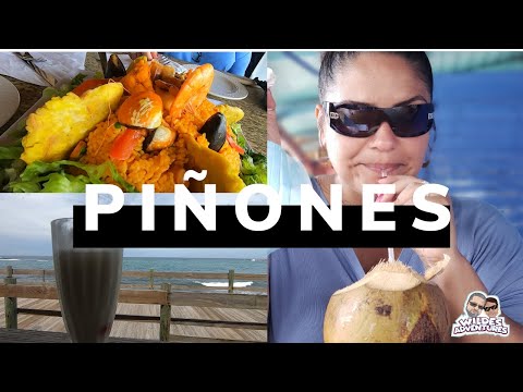 Видео: Экскурсия по Чинчорео Пиньонеса!