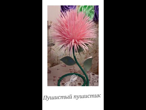 Видео: Пушистый пушистик