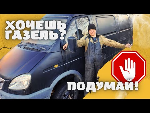 Видео: ХОЧЕШЬ ГАЗЕЛЬ? ТЫ ДОЛЖЕН ЭТО ЗНАТЬ!