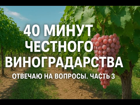 Видео: 40 минут честного виноградарства