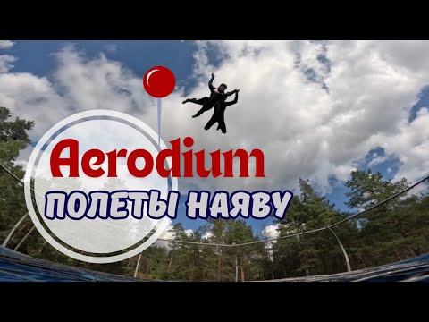 Видео: Летать как птица - это реальность!  