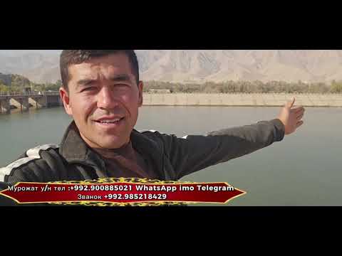 Видео: Саёхат ва Доставка кизик видео  лавха.🤣🤣
