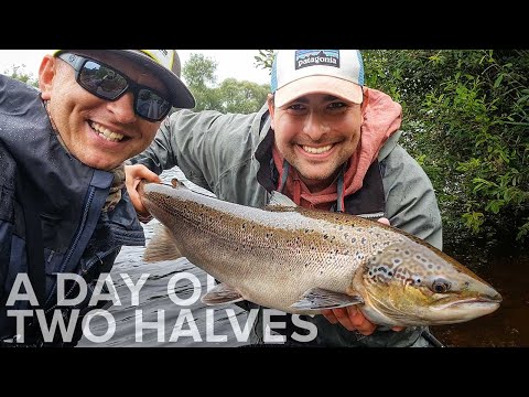 Видео: Ловля лосося нахлыстом на реке Блэкуотер в Ирландии. Ловля лосося нахлыстом в Ирландии