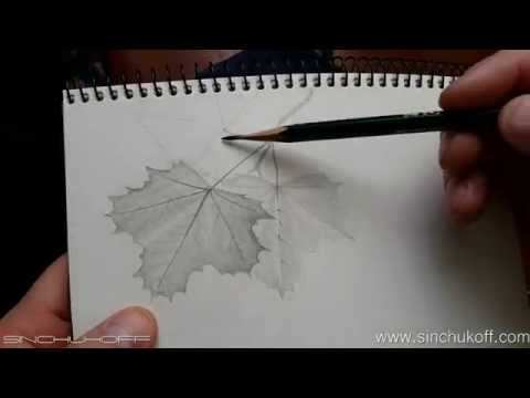Видео: Рисуем Листья клена