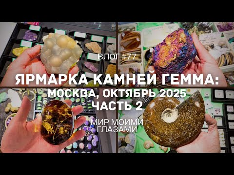 Видео: Выставка-ярмарка Гемма - Москва, октябрь 2025. Часть 2.