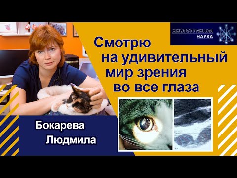 Видео: «Смотрю на удивительный мир зрения во все глаза». Людмила Бокарева