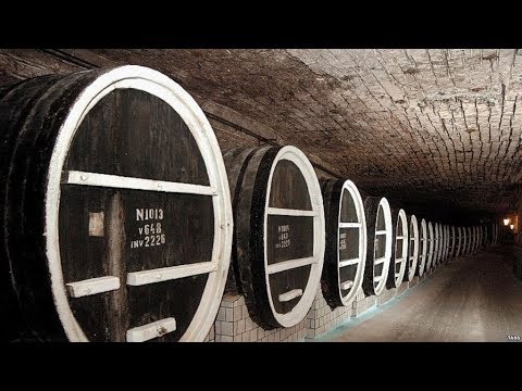 Видео: Экскурсия в уникальные винные подвалы Крикова!