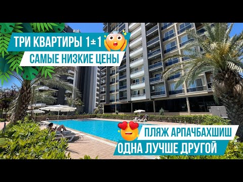 Видео: 3 квартиры 1+1 по нереально выгодной цене в топовой локации рядом с морем! Недвижимость в Мерсине