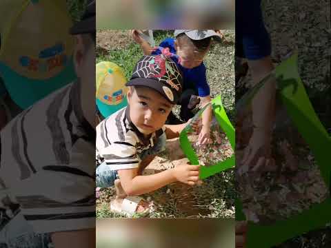 Видео: Көңілді жаз.Тәрбиеші Шакмұратова Жадырасын