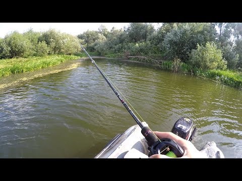 Видео: СУДАК в небольшой РЕЧУШКЕ! (Возможно?)