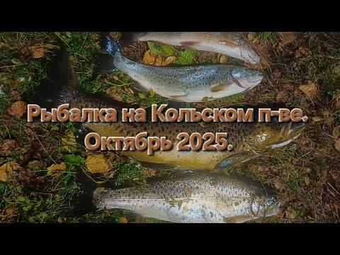 Видео: Рыбалка на Кольском п-ве. Октябрь 2025.
