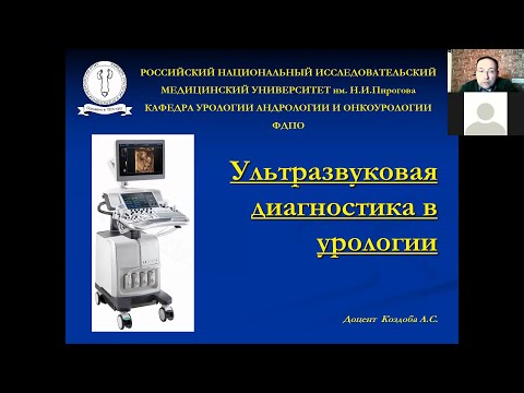 Видео: УЗИ в урологии день 1 Введение