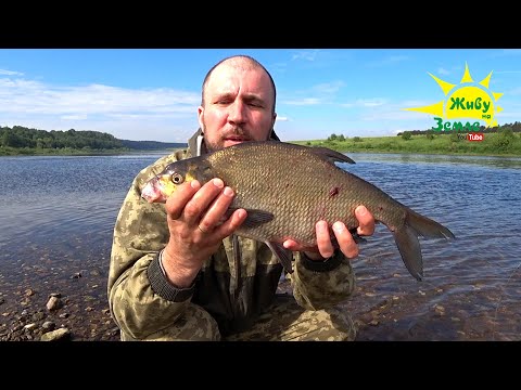 Видео: РЫБАЛКА на КАШУ. На СИЛЬНОМ ТЕЧЕНИИ. Просто СУПЕР РЫБАЛКА!!!