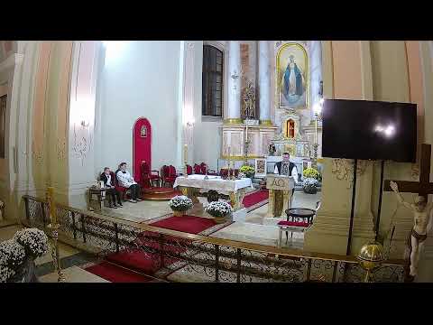 Видео: Архікатэдральны касцёл