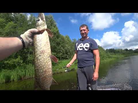 Видео: Рыбалка на Колве. Июнь 2022