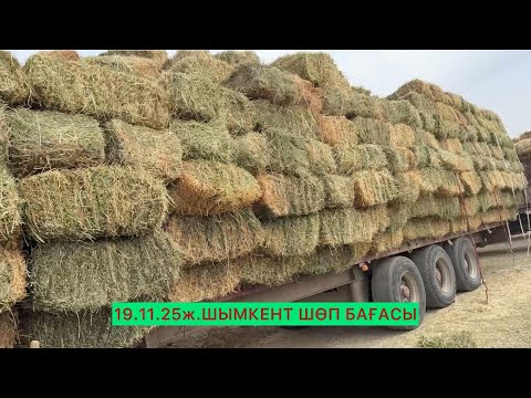 Видео: Шөп бағасы 19.11.25ж.Шымкент