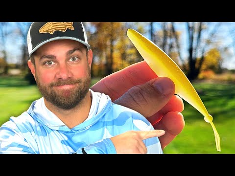 Видео: Это утроило поклевки моего MINNOW (работает и без FFS)